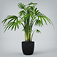 Interior Plant - 3DOcean Item for Sale