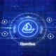 OpenSea animated logo. OpenSea NFT marketplace logo. OpenSea intro. Animation of OpenSea - VideoHive Item for Sale