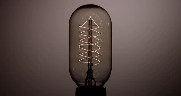 Light Bulb 