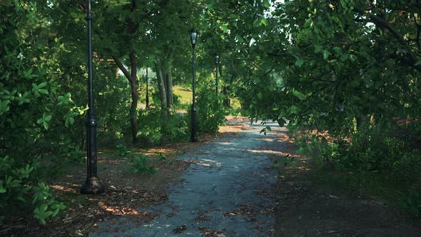 Empty Bike Way in Forest Park