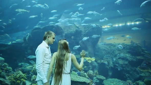 The Guy and the Girl are Considering Fishes Sailing in the Underground Aquarium