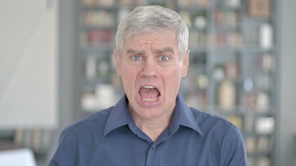 Portrait of Middle Aged Man Shouting and Screaming with Anger