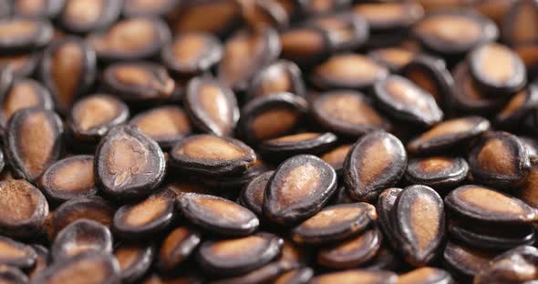 Black melon seed 