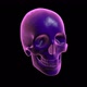 Rotten skull isolated with alpha channel - VideoHive Item for Sale