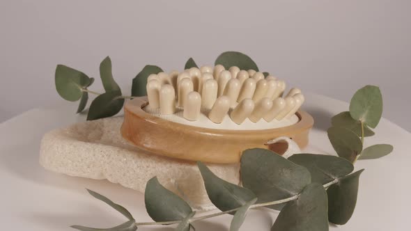 Natural Organic Spa Cosmetics Products with Eucalyptus Oil Massage Brush Eucalyptus Leaf Extract for