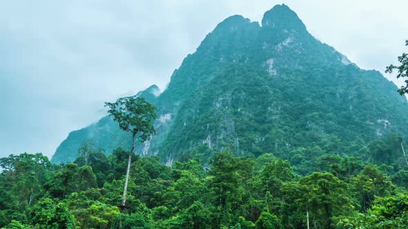 Forest And Mountain Cloud