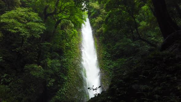 Beautiful Tropical Waterfall Philippines Luzon