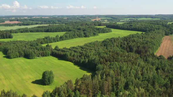 View From the Height of the Green Field and the Forest Near Minsk