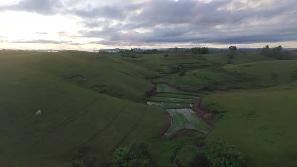 Aerial View of Rural Farmland in the Philippines