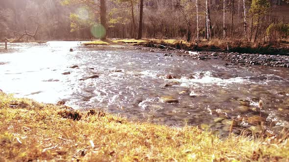 Dolly Slider Shot of the Splashing Water in a Mountain River Near Forest