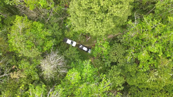 Aerial view of 2 cars in the middle of jungle