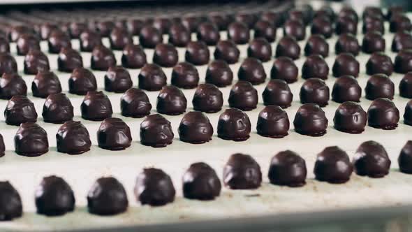 Newlymade Sweets in Chocolate Frosting on the Conveyor Belt