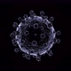 Corona Virus 4k - VideoHive Item for Sale