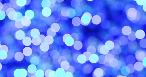 Blue Light Bokeh