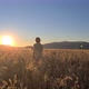 a boy in a shirt runs through a field with oats - VideoHive Item for Sale