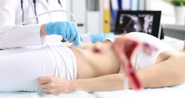 Doctor Doing Pelvic Ultrasound to Woman Patient in Clinic  Movie