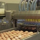 Egg Machine - VideoHive Item for Sale