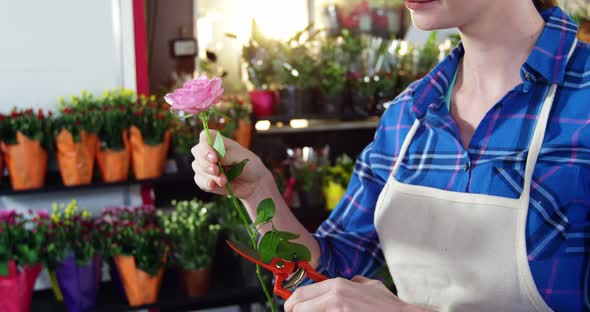 Beautiful female florist smelling pink rose