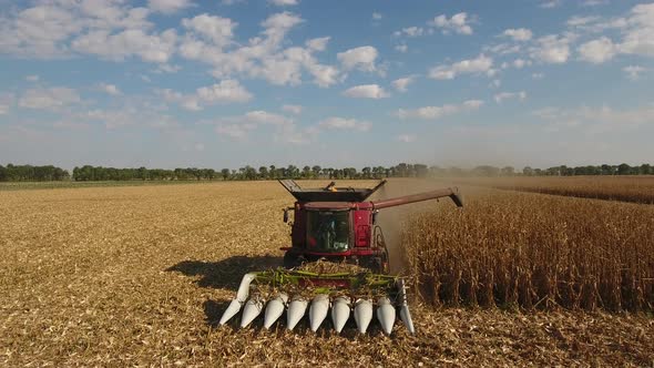 Corn Combine Harvester