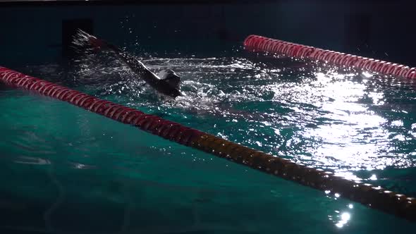 Swim Finish. Swimmer in Action in Waterpool with Blue Water at Sunny Day. Night Shot