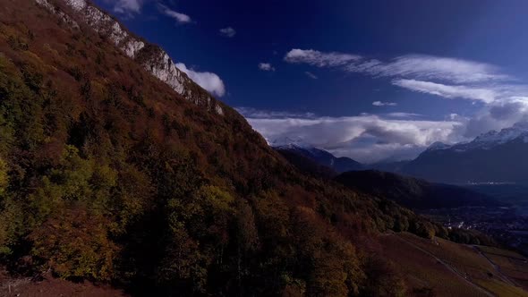 Flight Over Trees in Autumn