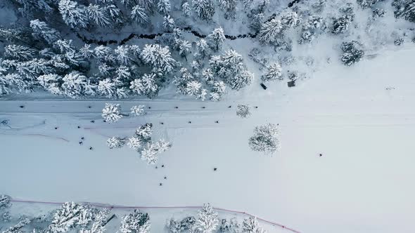 Top View Of The Tourists Skiing On The Ski Resort Surrounded By Snowcapped Forest In Biały Potok Wit