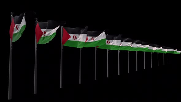Row Of Western Sahara  Flags With Alpha 2K 
