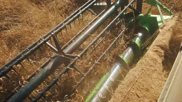 Close Up of Modern Harvest Thrasher at Work. Overhead