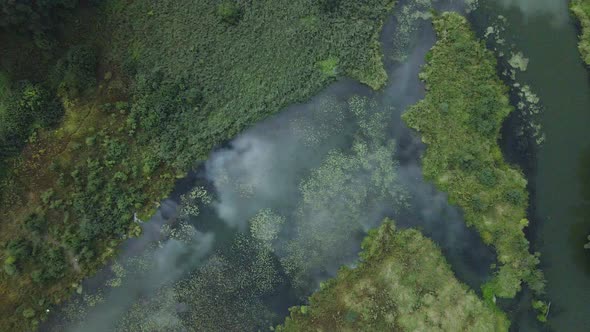 Park area. A winding river with water lilies. Swampy area. Aerial photography.