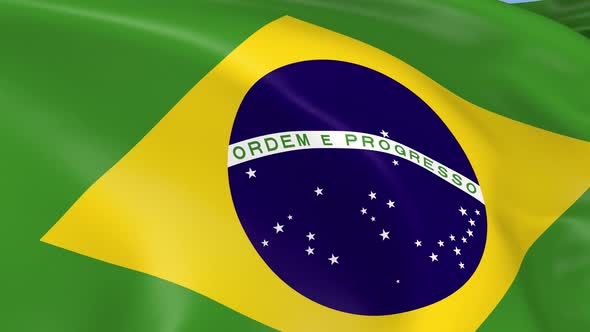 Brazil Flag