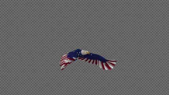 American Eagle - USA Flag - Flying Loop - Side Angle 4K