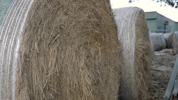 Round Hay Bale Fodder Stored On A Farm, LIFT SHOT