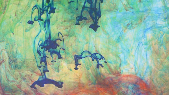 Liquid Abstractions the Dissolution of Blue Yellow Red and Green Paint in Water