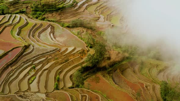 Aerial shot of the famous terraced rice fields of Yuanyang County China