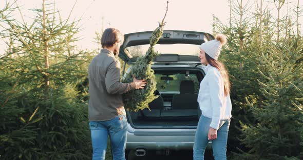 Couple which Putting into Car's trunk Beautiful fir Tree and After Giving High Five