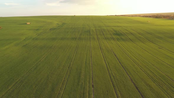 Aerial View Of Green Farm Levels