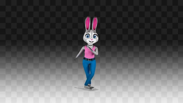 Bunny Funny Dance