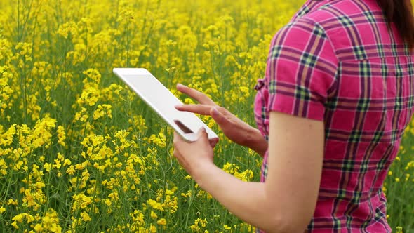 A young woman farmer walks into a rapeseed field and checks the quality of the plant