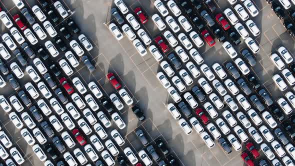 Aerial View of a Giant Parking Lot of New Cars Lined Up in Neat Rows