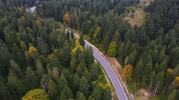 Road in the Mountains