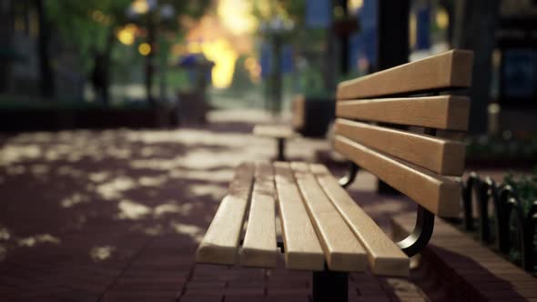 Quiet City Park with Trees and Benches