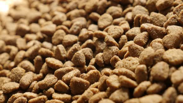 Shallow DOF pile of cat or dog pellet meal slow pan 4K 2160p 30fps UltraHD footage - Healthy  brown 