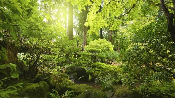 Magnificent Japanese Garden