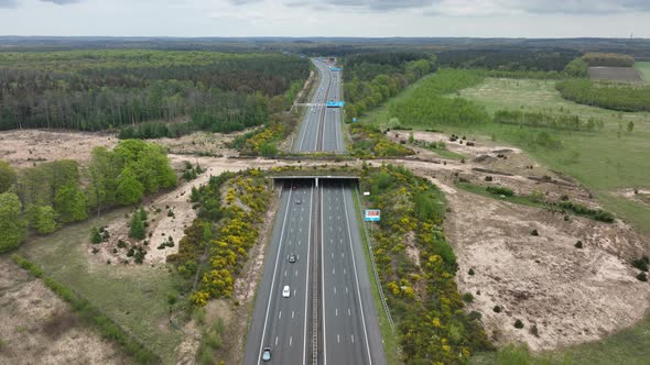 Ecoduct Ecopassage or Animal Bridge Crossing Over the A12 Highway in the Netherlands