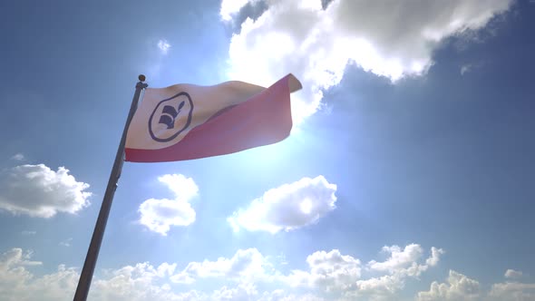 Irving CIty Flag (Texas) on a Flagpole V4 - 4K