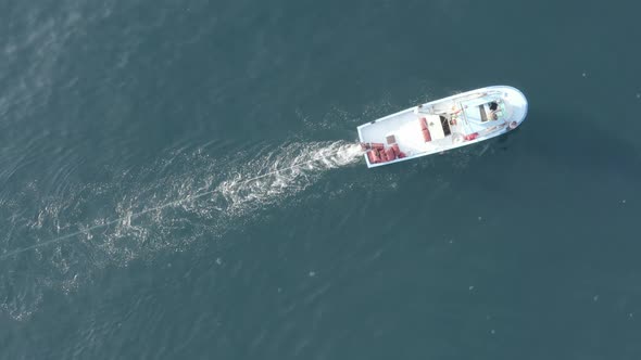 Trabzon City Following Fisher Boat