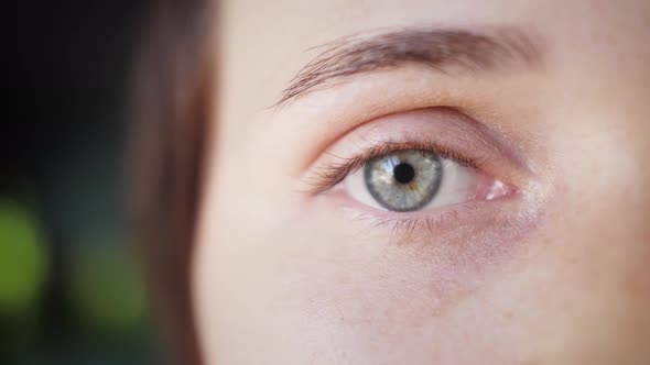 Close up of eye. Beautiful multicolored eye.