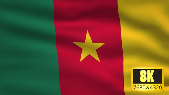 8K Cameroon Windy Flag Background