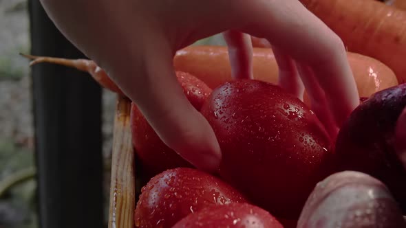 Woman's Hand Takes a Tomato From a Box of Vegetables