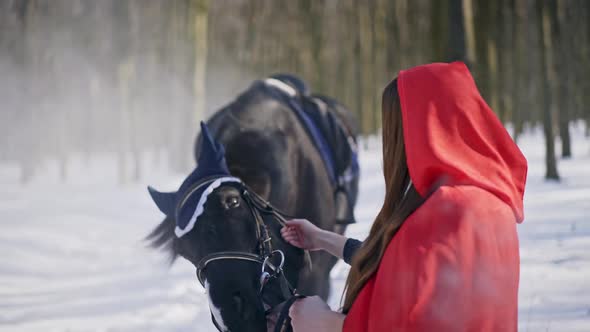 Beautiful Young Woman in Fantastic Image of Forest Princess with Horse in Winter Forest